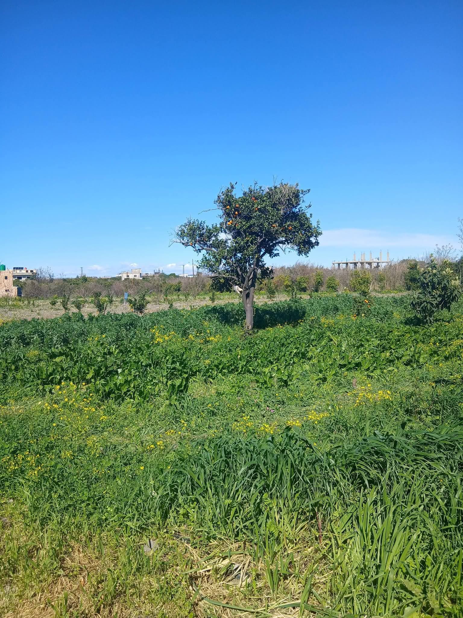 Property gallery thumbnail