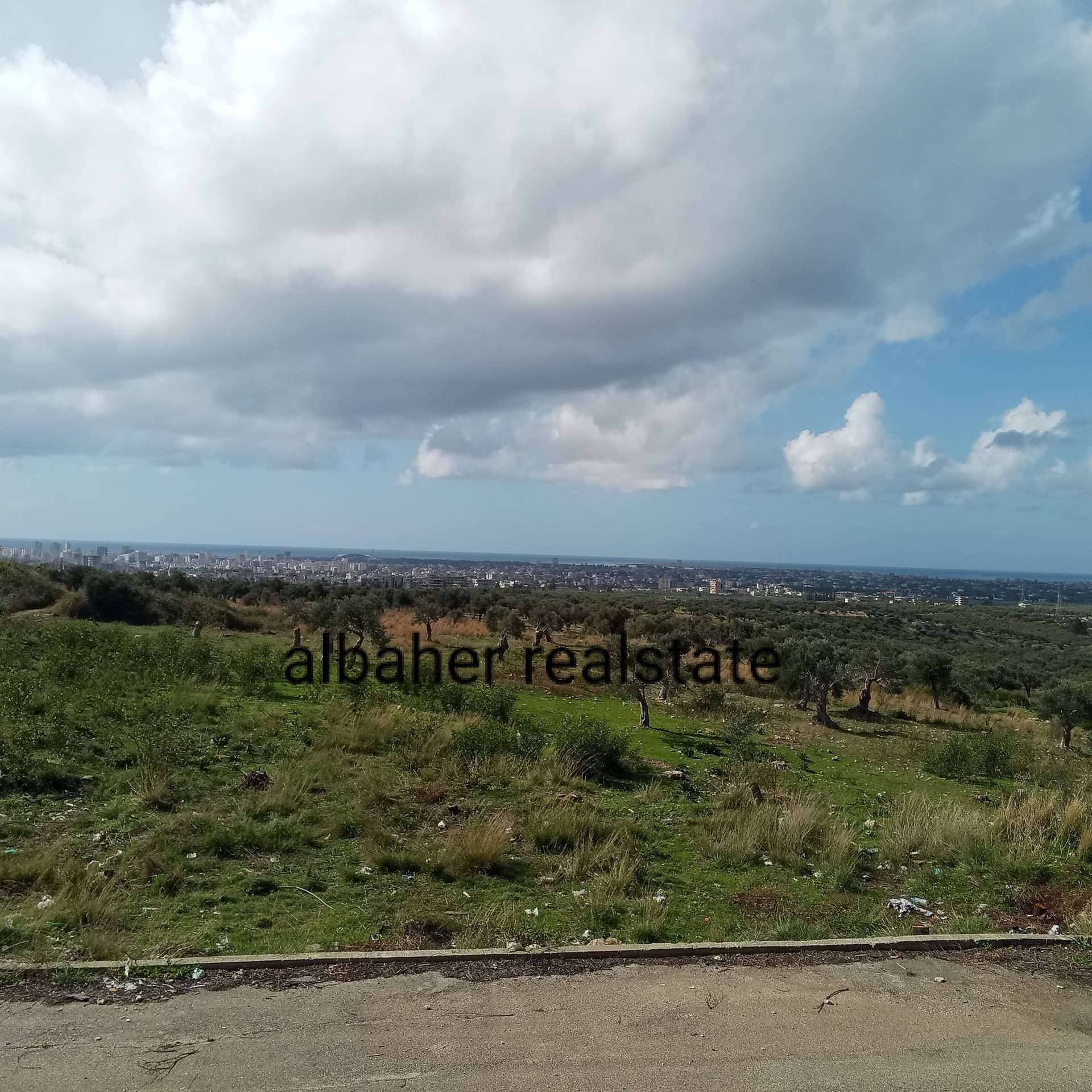 Property gallery thumbnail
