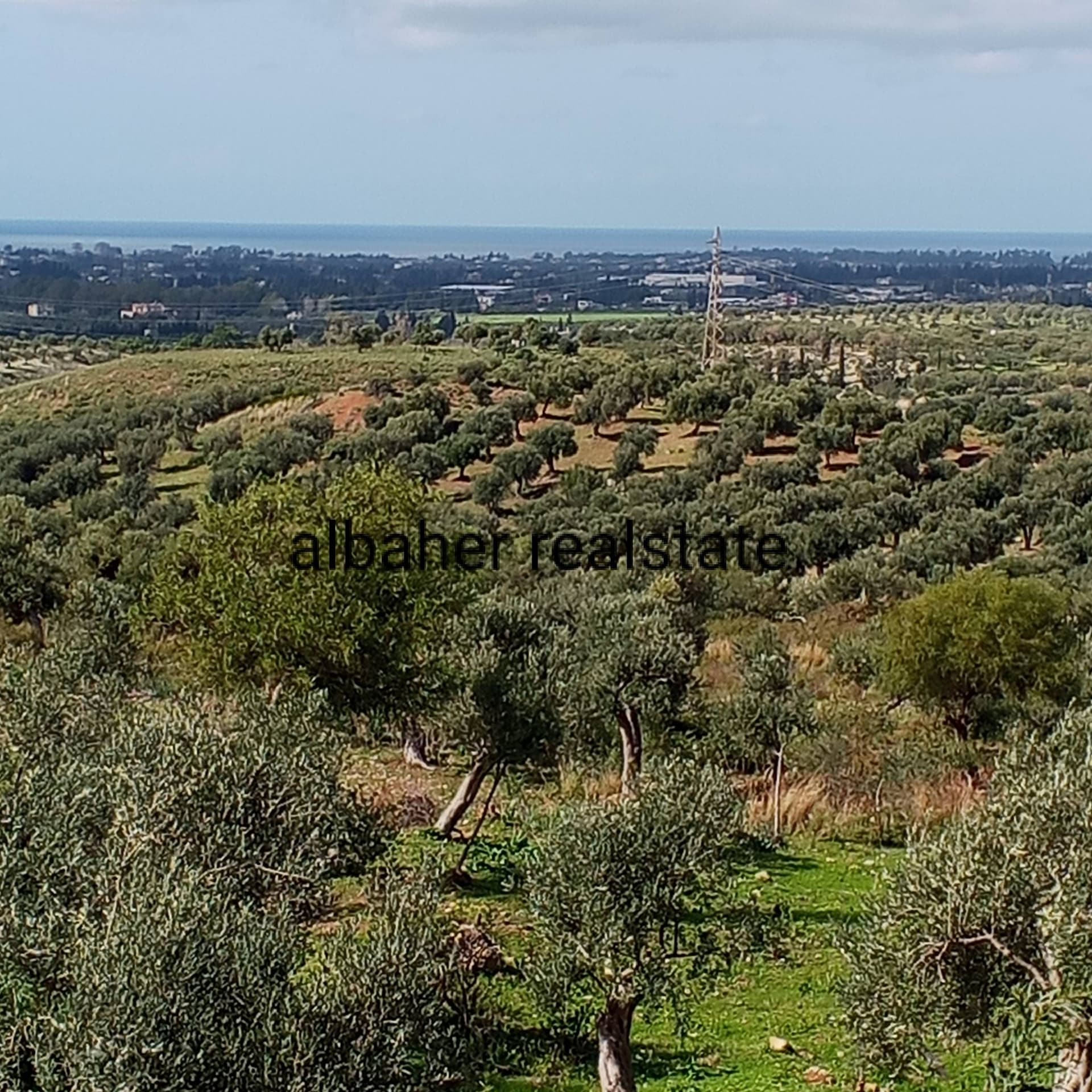Property gallery thumbnail