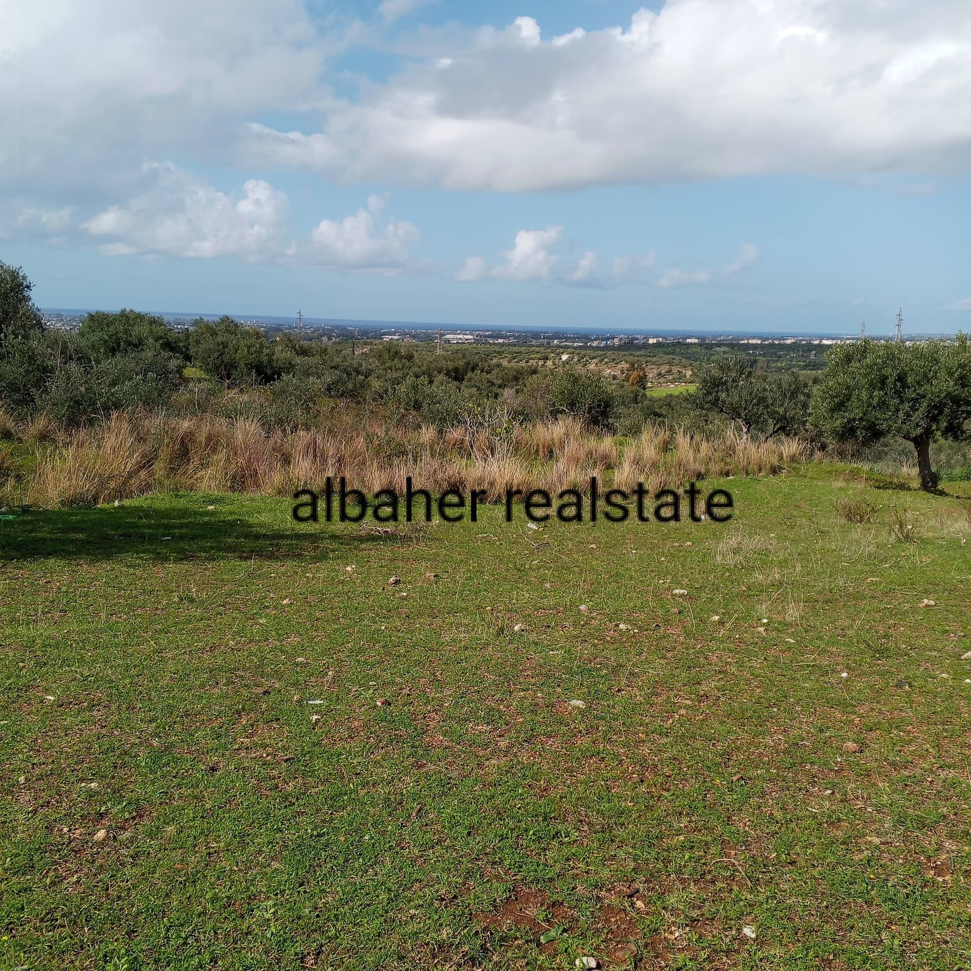 Property gallery thumbnail