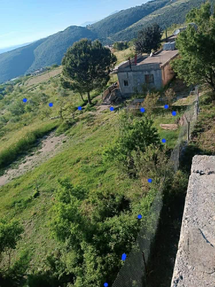 Property gallery thumbnail