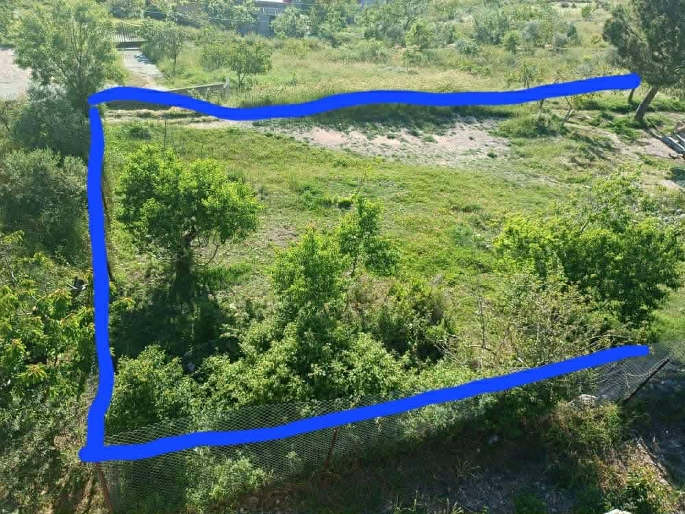 Property gallery thumbnail