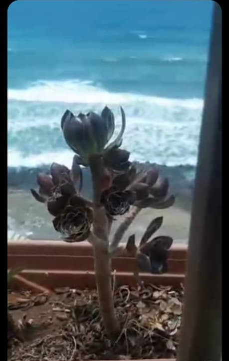 Sea view, Well-ventilated 3-Bedroom بيت عطلة for Rent in Al-Harab, Tartus - Photo 8