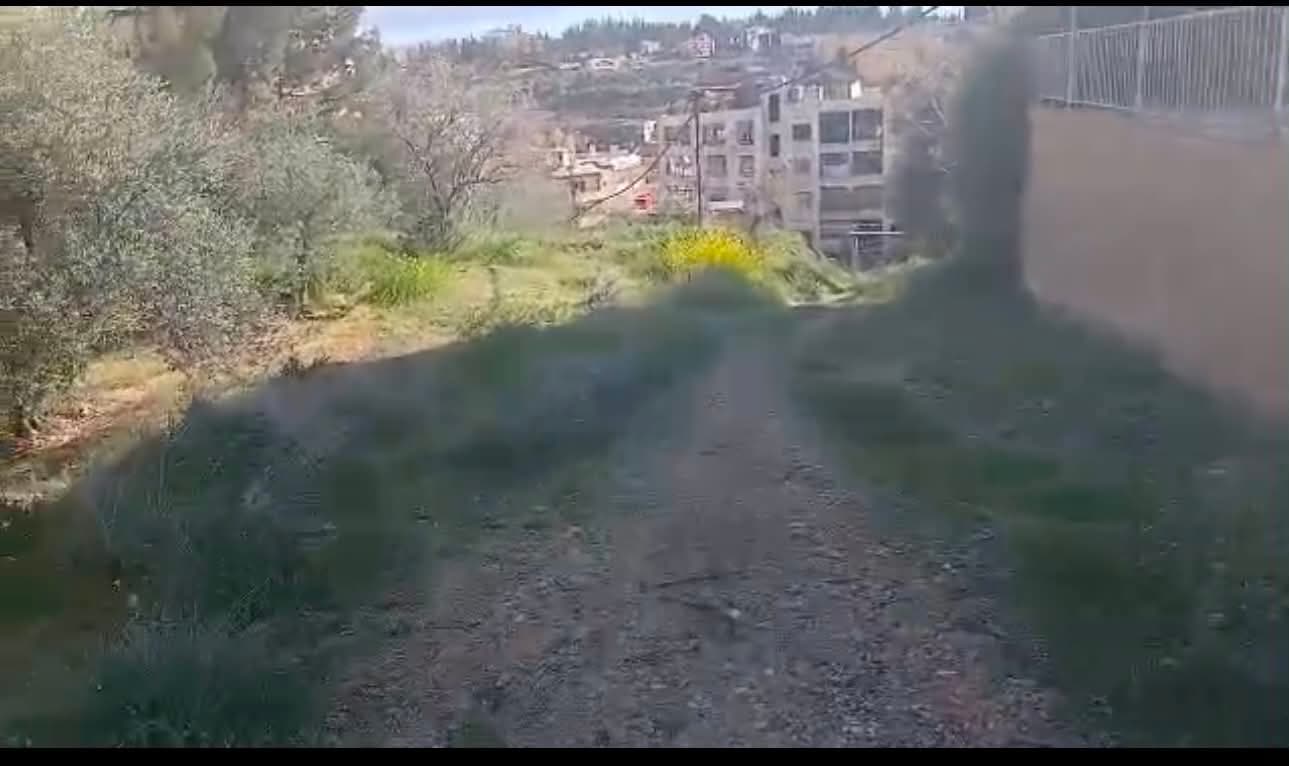 أرض للبيع في (بجديدة الوادي طلعة الحرس)، ريف دمشق - 2.4دونم - صورة 3