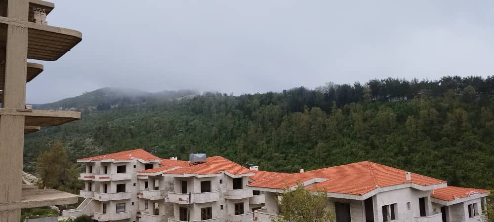 Shell house, Green Title Deed Apartment for Sale in slunfeh, Latakia - 110sqm - Photo 3