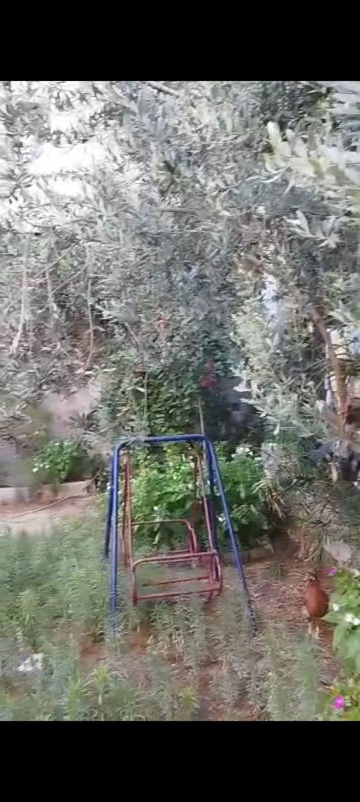 3-Bedroom Apartment for Sale in Al-Sina'a, Damascus - 100sqm - Photo 5