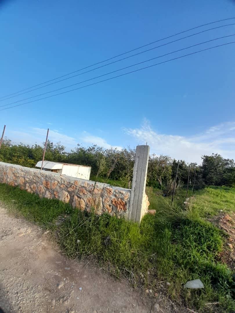 Property gallery thumbnail