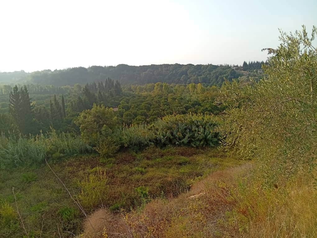 Land for sale in Sanobar Jableh, Latakia 4 Dunam