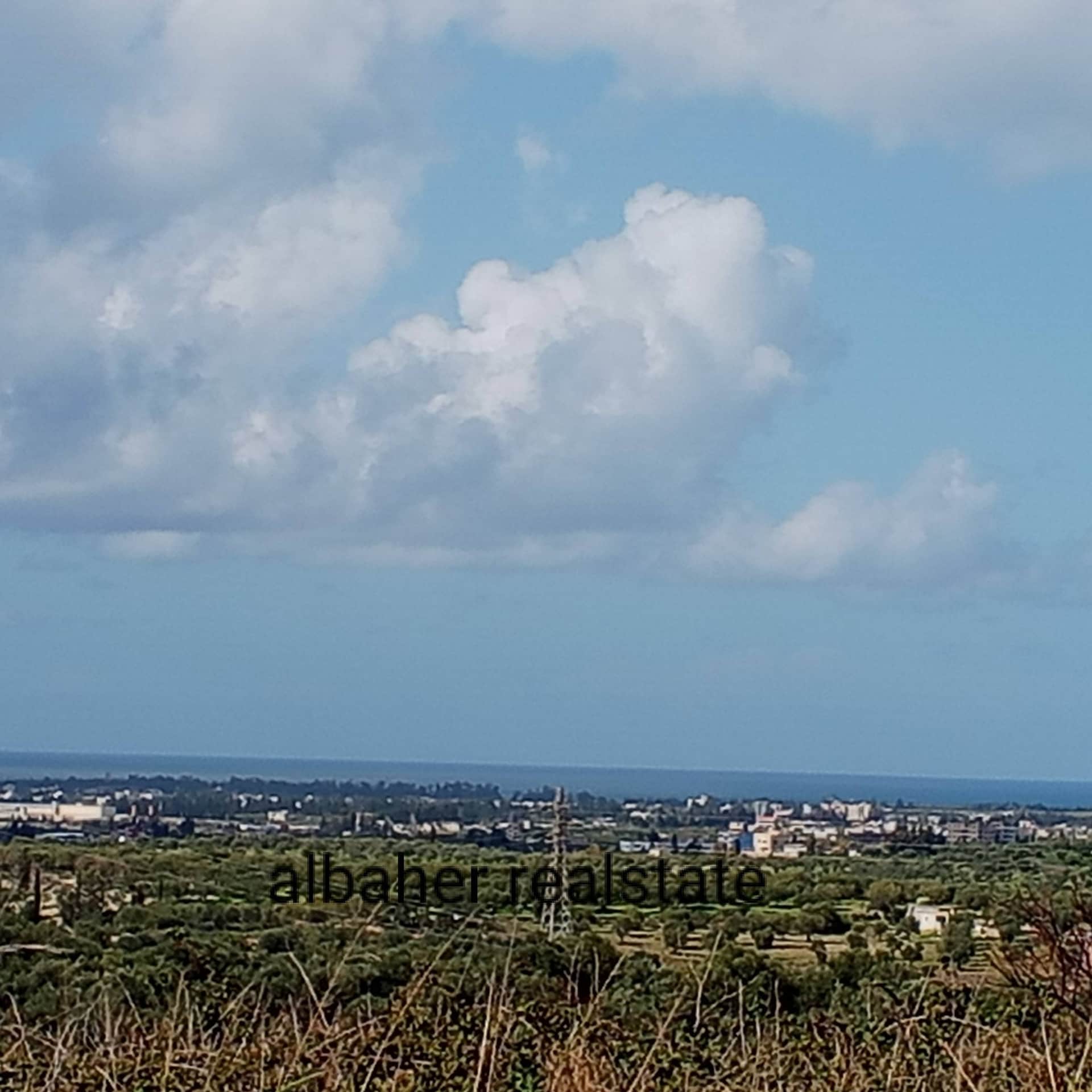Land for sale in Sqoubin, Latakia 26 Dunam