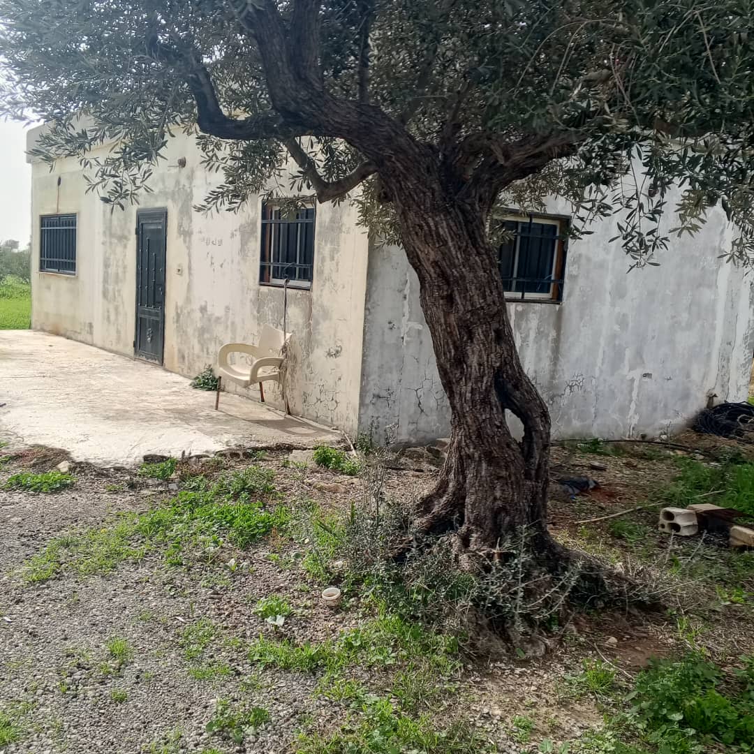Property gallery thumbnail