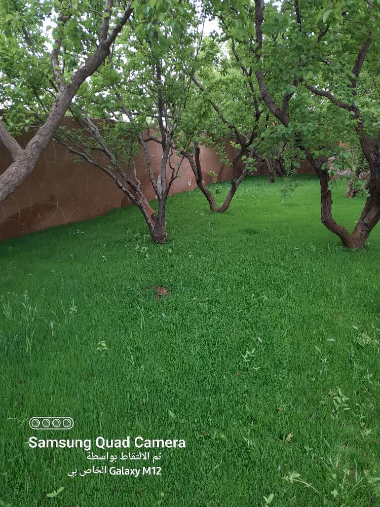 Property gallery thumbnail