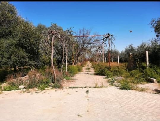 Property gallery thumbnail
