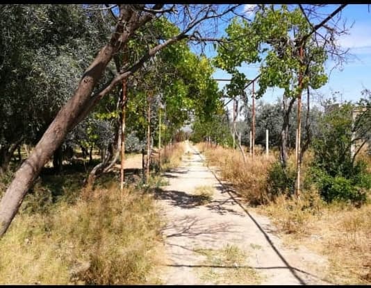 Property gallery thumbnail