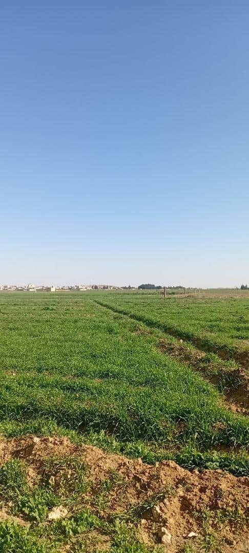 Land for sale in Airport Road, Qarhatah, Damascus 5 Dunam