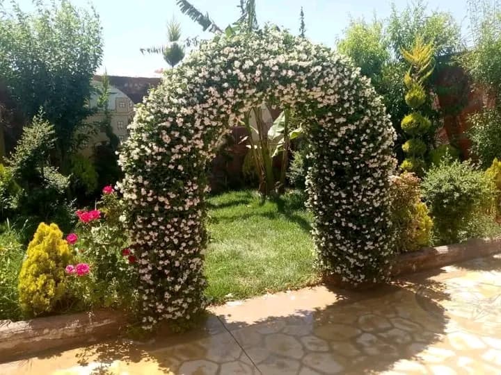 Bright, Spacious, Green Title Deed - Image 2
