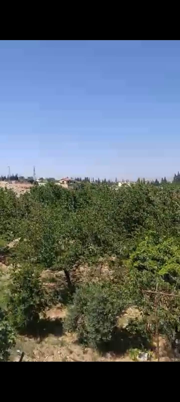 Villa for sale in Yaafour - Al-Baja'a (, Damascus 400 SQM