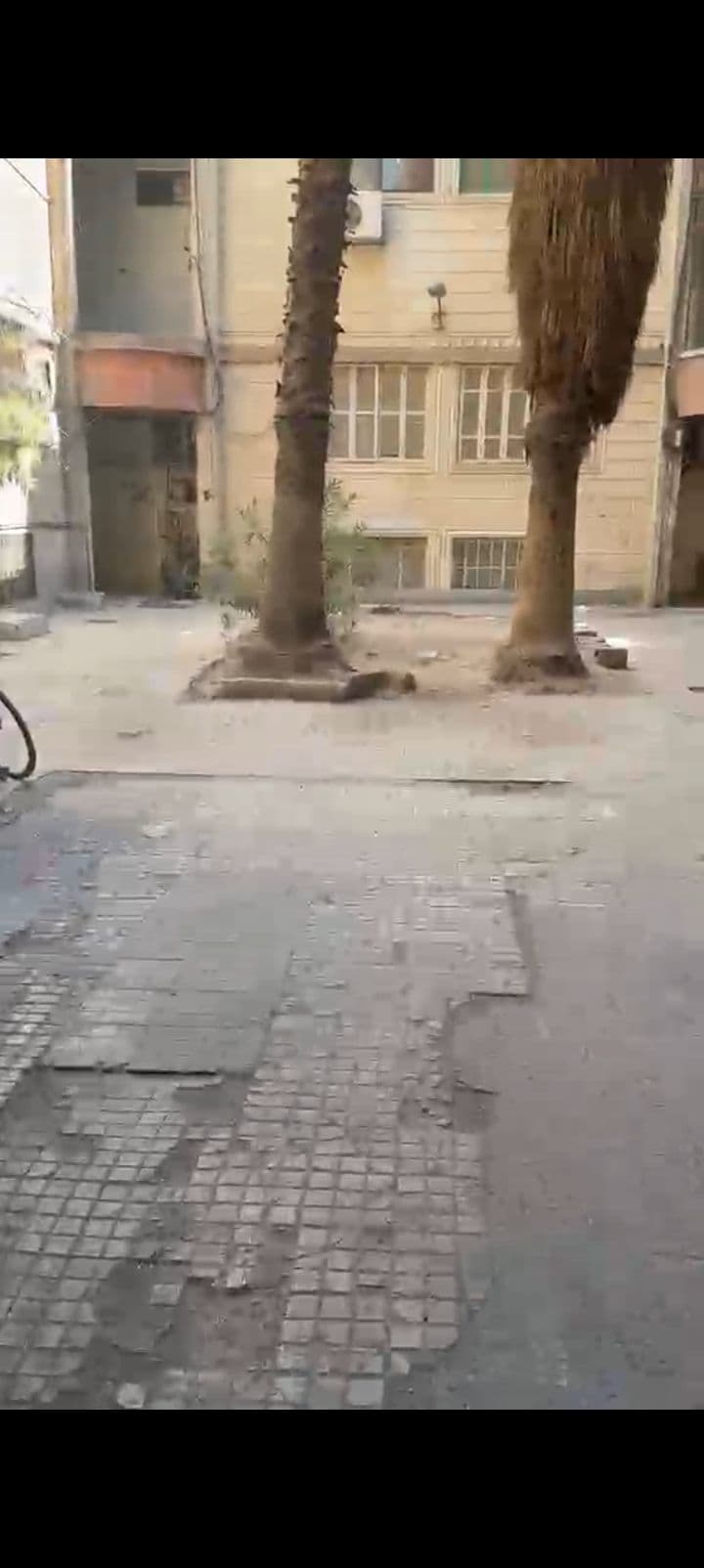 شقة للبيع في شارع خالد ابن الوليد شارع بستان الزاغة، دمشق - 120م² - صورة 3