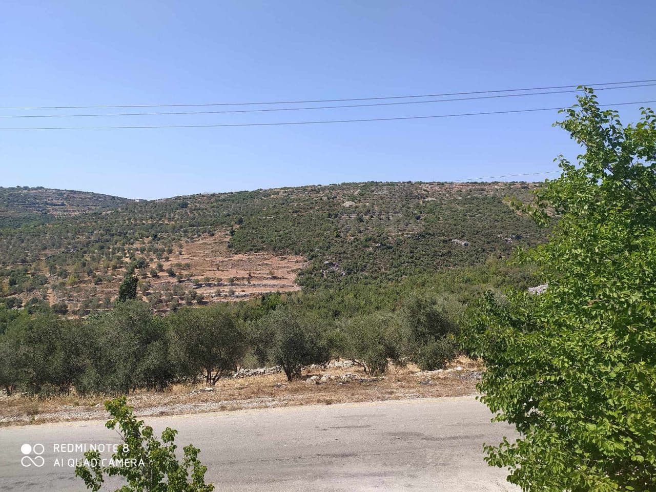 Open view Land for Sale in Hammam Wasel, Tartus - 1790sqm - Photo 5