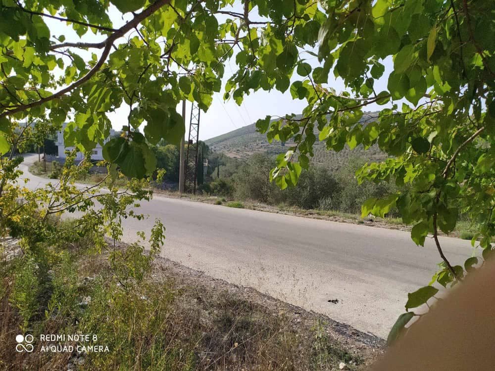 Open view Land for Sale in Hammam Wasel, Tartus - 1790sqm - Photo 7